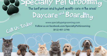 Local Business Spotlight: Specialty Pet Grooming Inc.